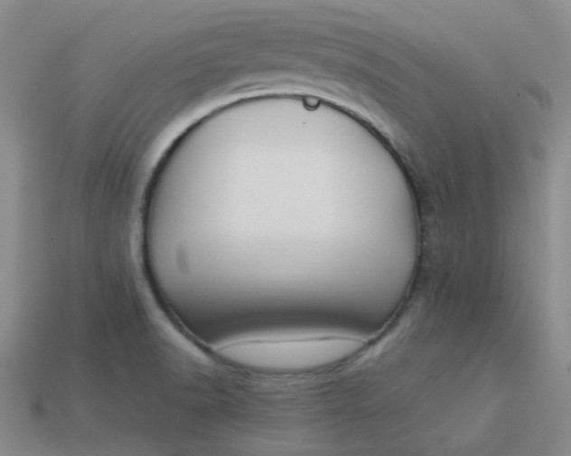 X0000113331518200910051135