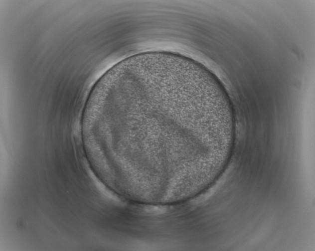 X0000113331521200910051135