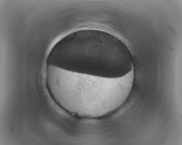 X0000113331522200910051135
