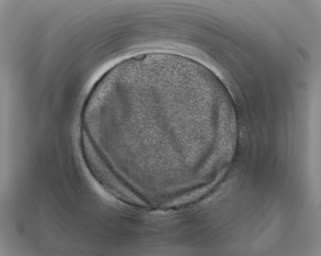 X0000113331523200910051135