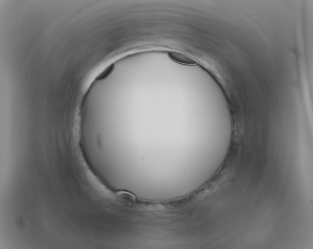 X0000113331524200910051135