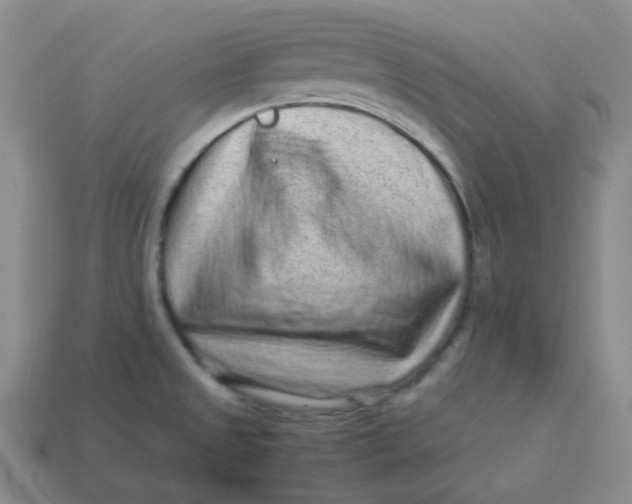 X0000113331525200910051135