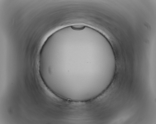 X0000113331526200910051135