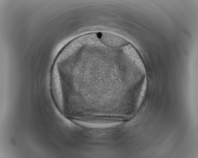 X0000113331527200910051135