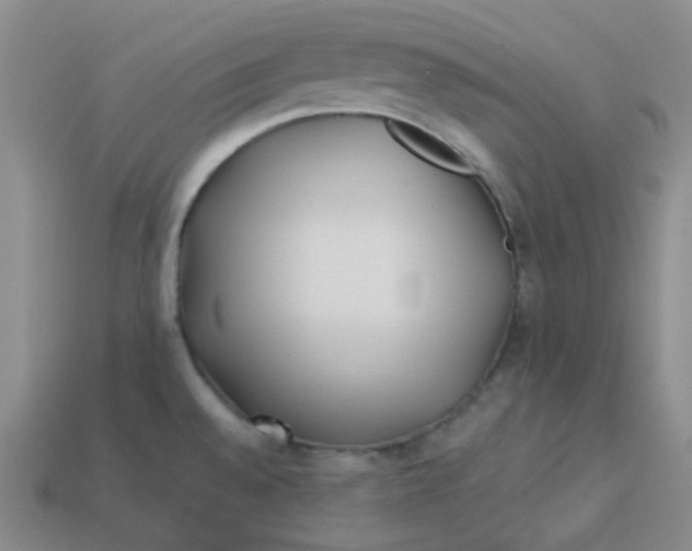 X0000113331528200910051135
