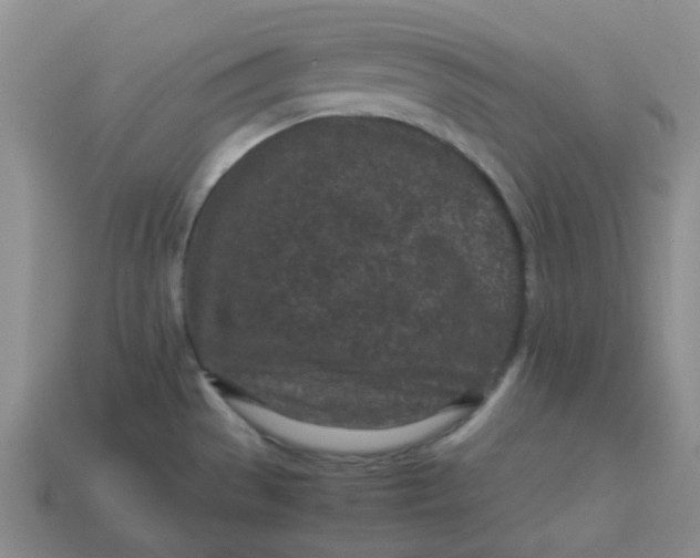 X0000113331529200910051135