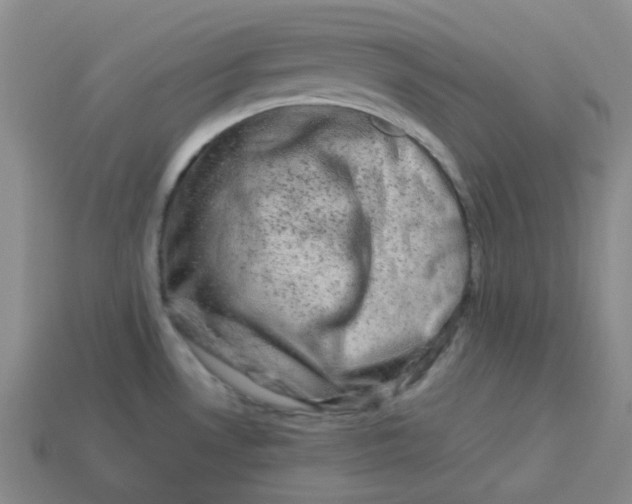 X0000113331530200910051135