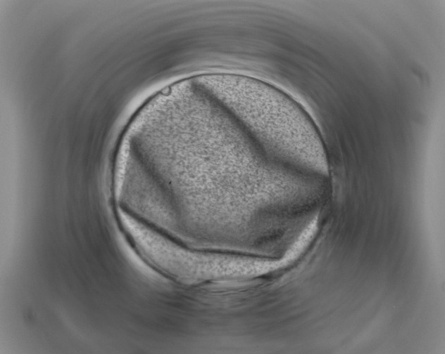 X0000113331531200910051135