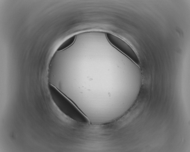 X0000113331532200910051135