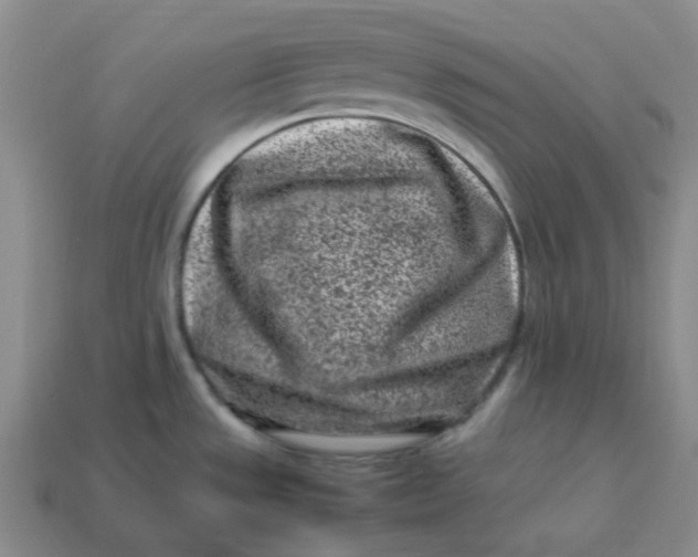 X0000113331533200910051135