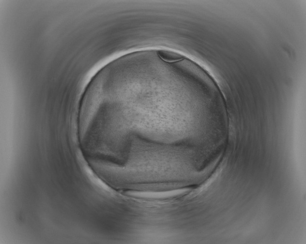 X0000113331534200910051135