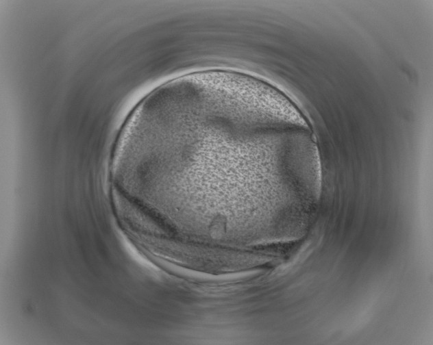 X0000113331535200910051135