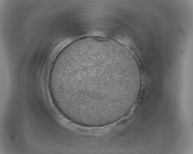 X0000113330001200910131158