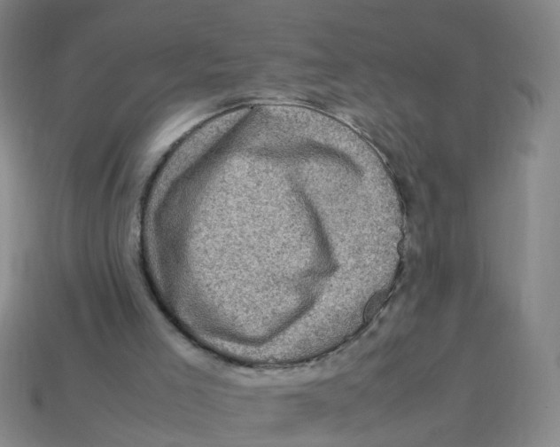 X0000113330005200910131158