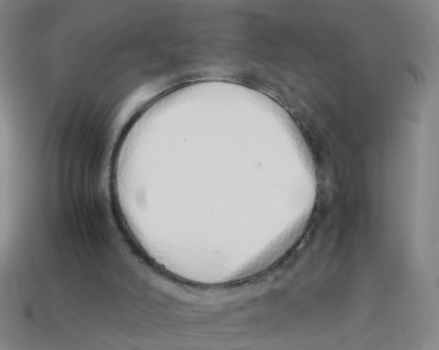 X0000113330006200910131158