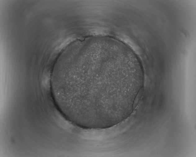 X0000113330009200910131158