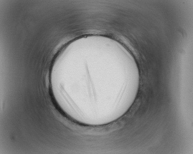 X0000113330011200910131158
