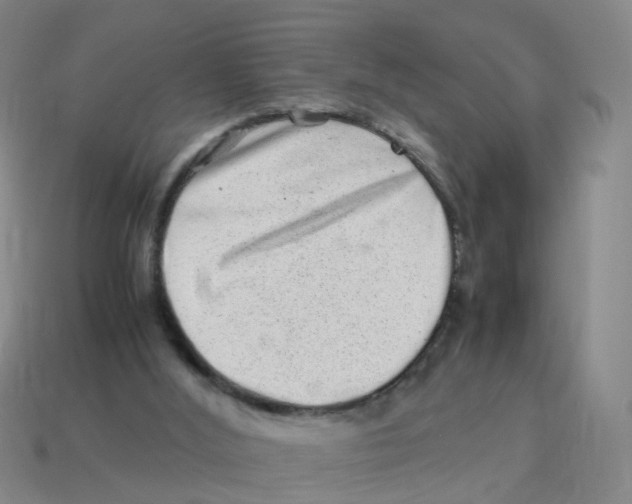 X0000113330012200910131158