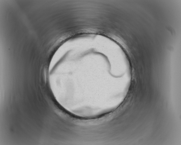 X0000113330013200910131158