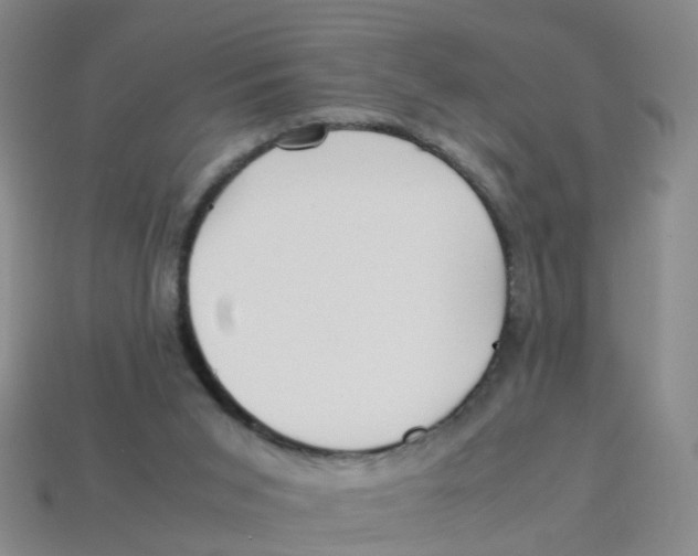 X0000113330015200910131158