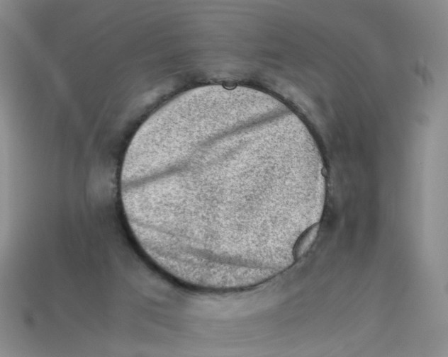 X0000113330017200910131158