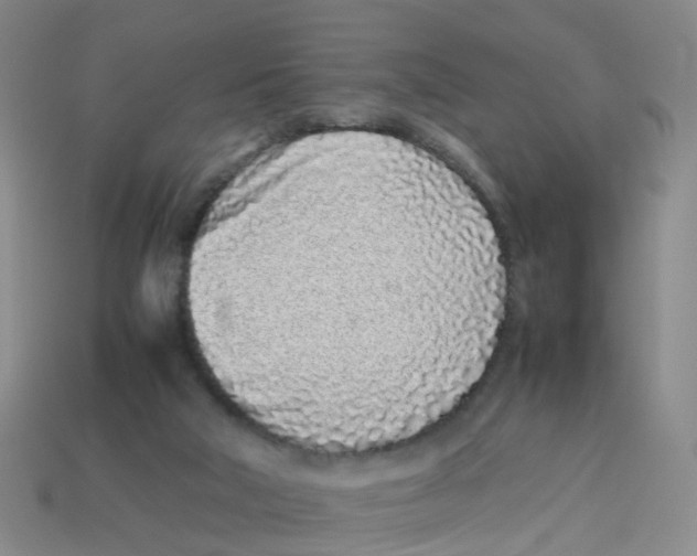 X0000113330018200910131158