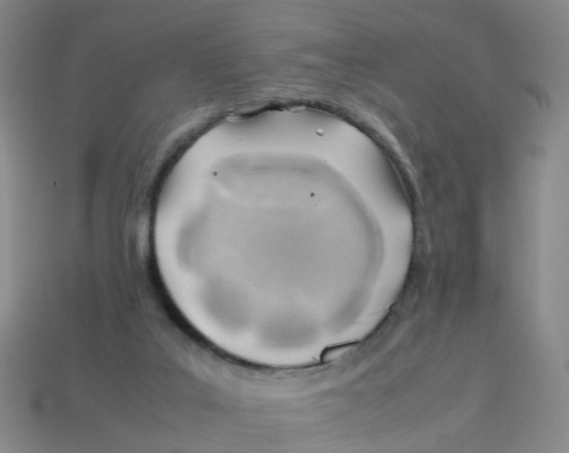 X0000113330019200910131158