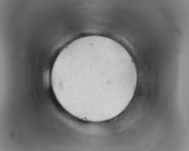 X0000113330020200910131158