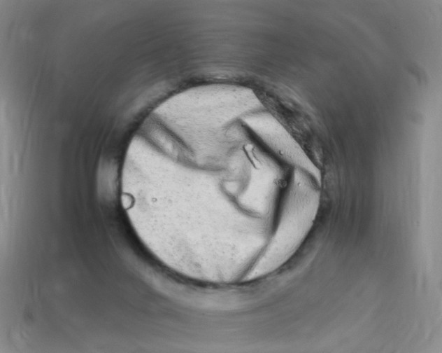 X0000113330024200910131158