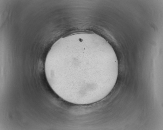 X0000113330025200910131158