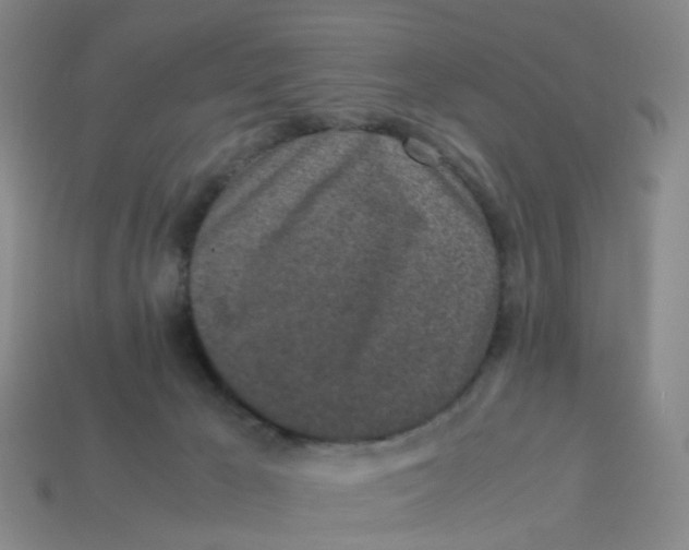 X0000113330029200910131158