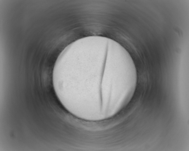 X0000113330030200910131158