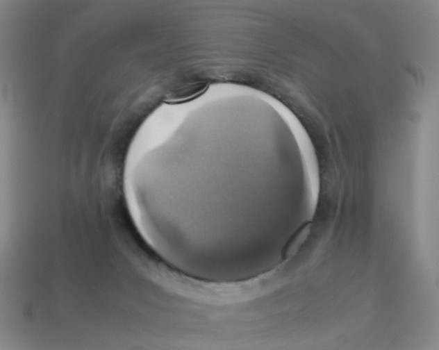X0000113330031200910131158