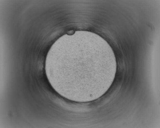 X0000113330032200910131157