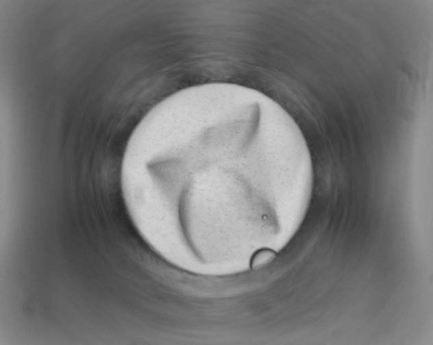 X0000113330034200910131157