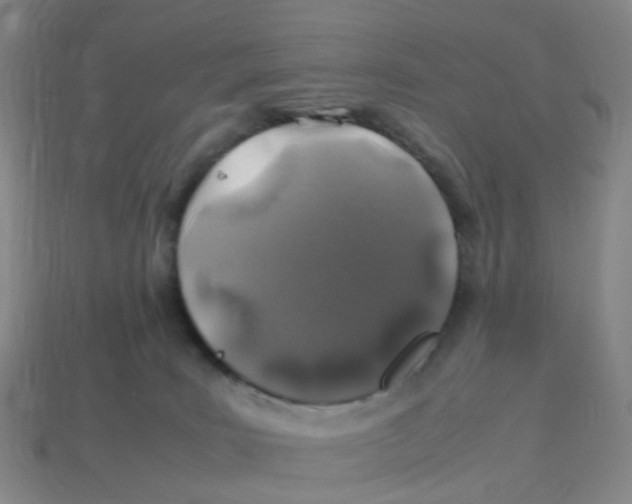 X0000113330035200910131157