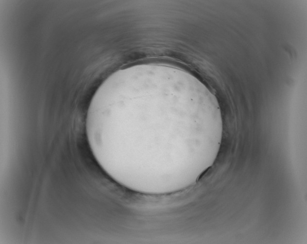 X0000113330037200910131157