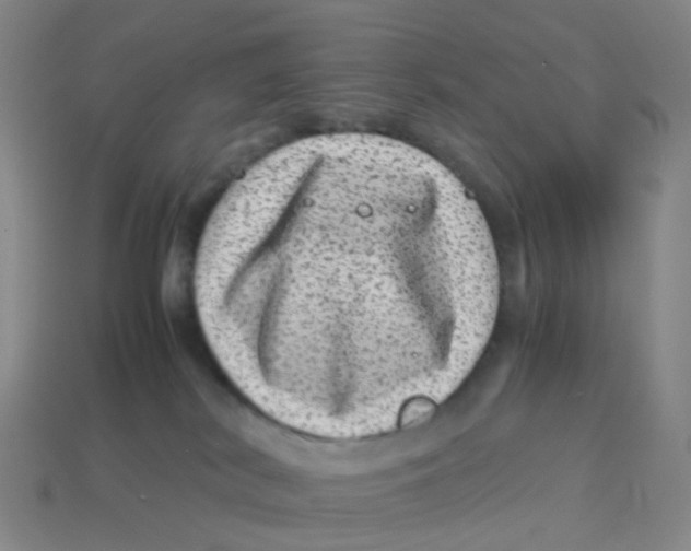 X0000113330038200910131157