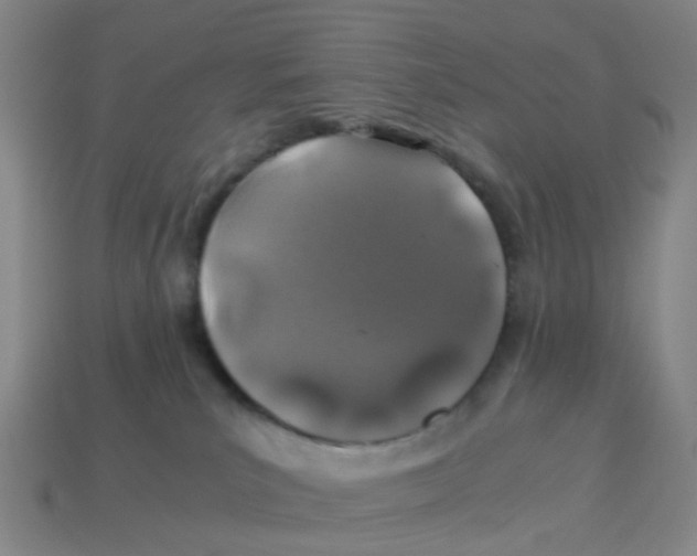 X0000113330039200910131157