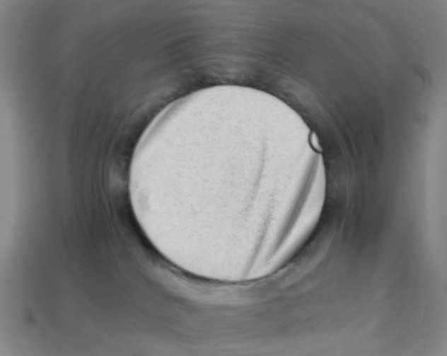 X0000113330040200910131157
