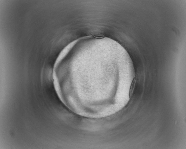 X0000113330041200910131157