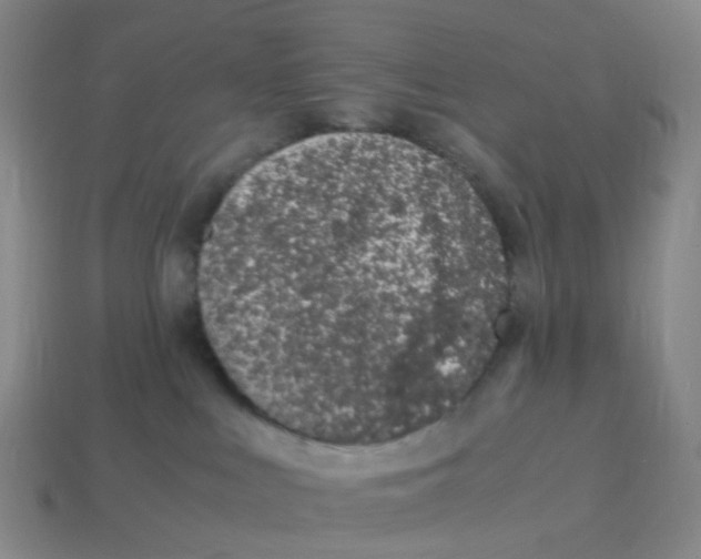 X0000113330043200910131157