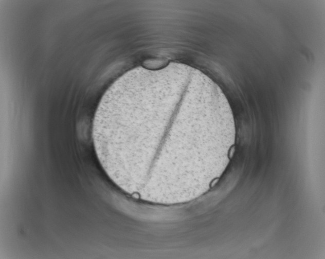 X0000113330044200910131157