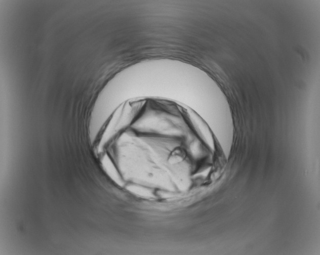 X0000113330045200910131157