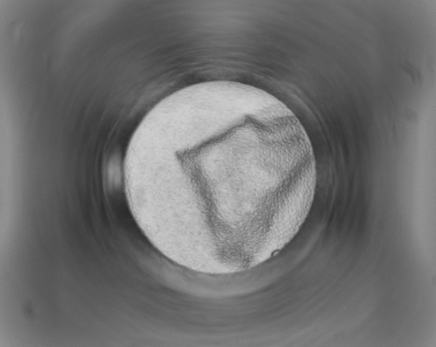 X0000113330046200910131157