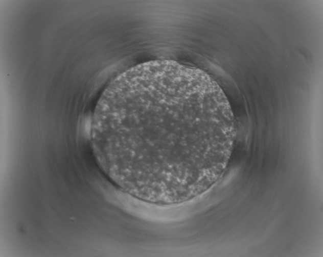 X0000113330047200910131157