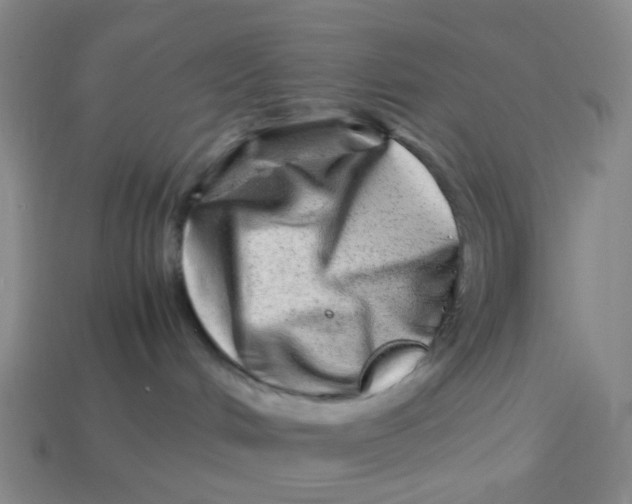 X0000113330048200910131157