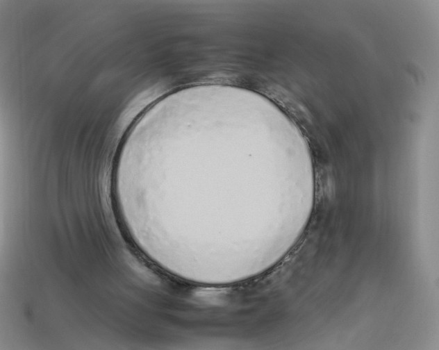X0000113330051200910131157