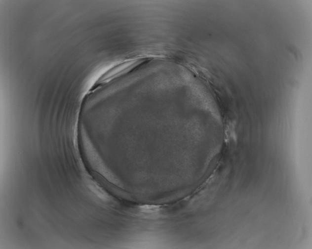 X0000113330052200910131157