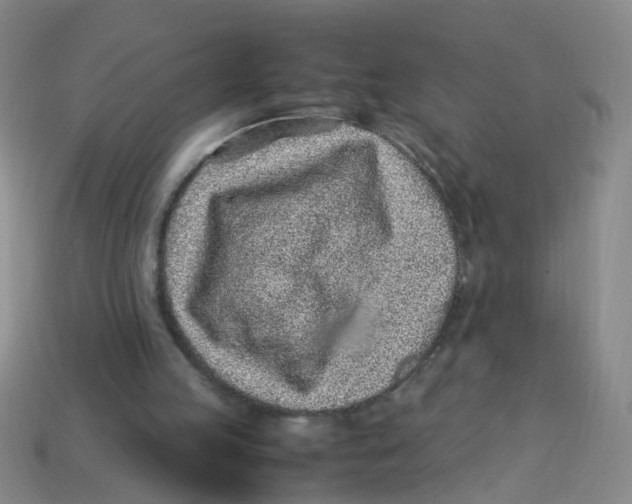 X0000113330053200910131157